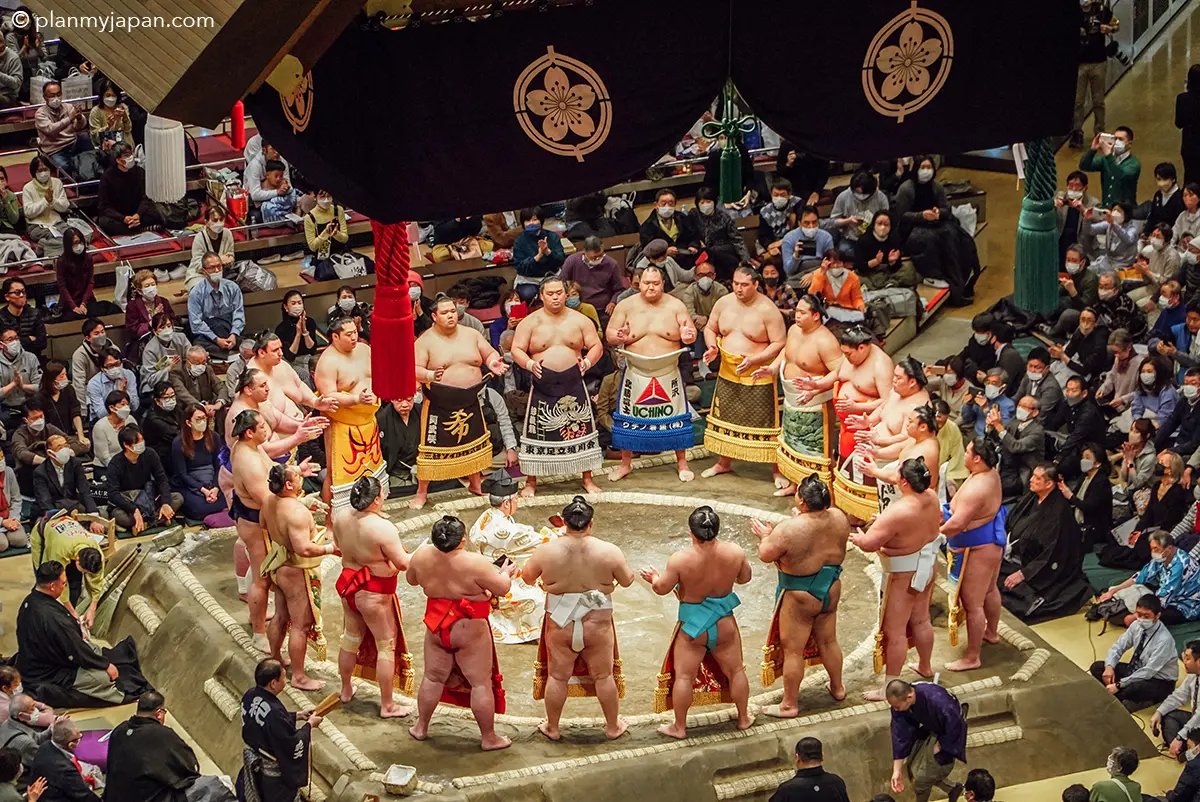 sumo-1